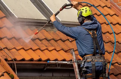 Démoussage et hydrofuge de toiture à Plailly